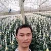 tiepnguyen239