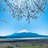 bin_jp17
