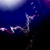 forbintrade