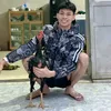 binhgol36