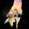 mohamed___212_