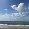 pvieb1