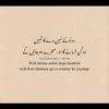 mirhafatima230