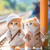 poopeeutm28