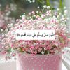 user4948610anaya