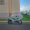 pcxsuro