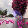 sabah.alz111