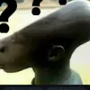 eu_souquagmire