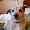 charlottesenior2