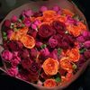 noor.0430