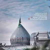 shdan313