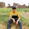 asimalimughl94