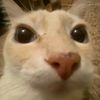 el_goblino4200