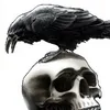blackburd4