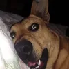 hugorodriguez039