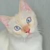 AecioAds