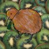ahmoldykiwi