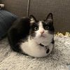 littlemissmartie