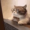 i.got.tiktok.now