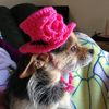 grandmapokey