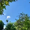 lani_2503