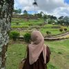 niabaik_