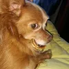 user581910864