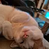 fudi_23