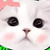 ౨ৎ𝑪𝒉𝒆𝒓𝒓𝒚🍒 ྀིྀི໒꒱