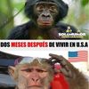 joseveloz1