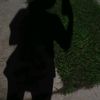 loreng0xd27
