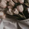 adelinkaa_3