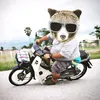 aon_kklp