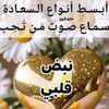 user236239948