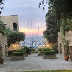 francica36