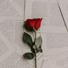 thisrosessfor_u