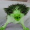 _capycapy