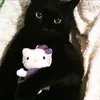 floorrotter