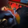 ebonyspot