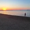 joshdillon87