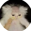 gato.calv0