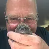i_rescue_hedgehogs