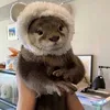 loutrecelestegalactique