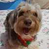 www.tiktok.comtobby