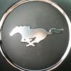 stang_chik