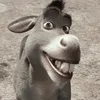 alessandrosilva461