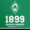 perleklee94