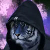 akella80_official