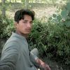 alamzeb170