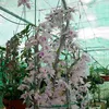 nguyenkhanh5026
